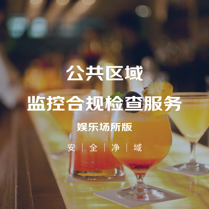 公共区域摄像头合规检查服务（娱乐场所）尊享