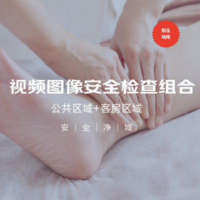 娱乐场所视频图像安全检查组合服务（公共区域+客房）尊享